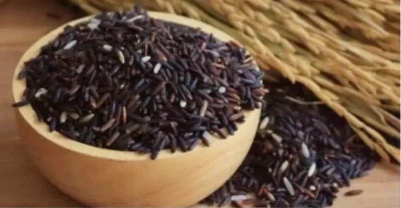 Forbidden Rice - Emperor Rice - à®•à®°à¯à®ªà¯à®ªà¯ à®•à®µà¯à®©à®¿ à®…à®°à®¿à®šà®¿