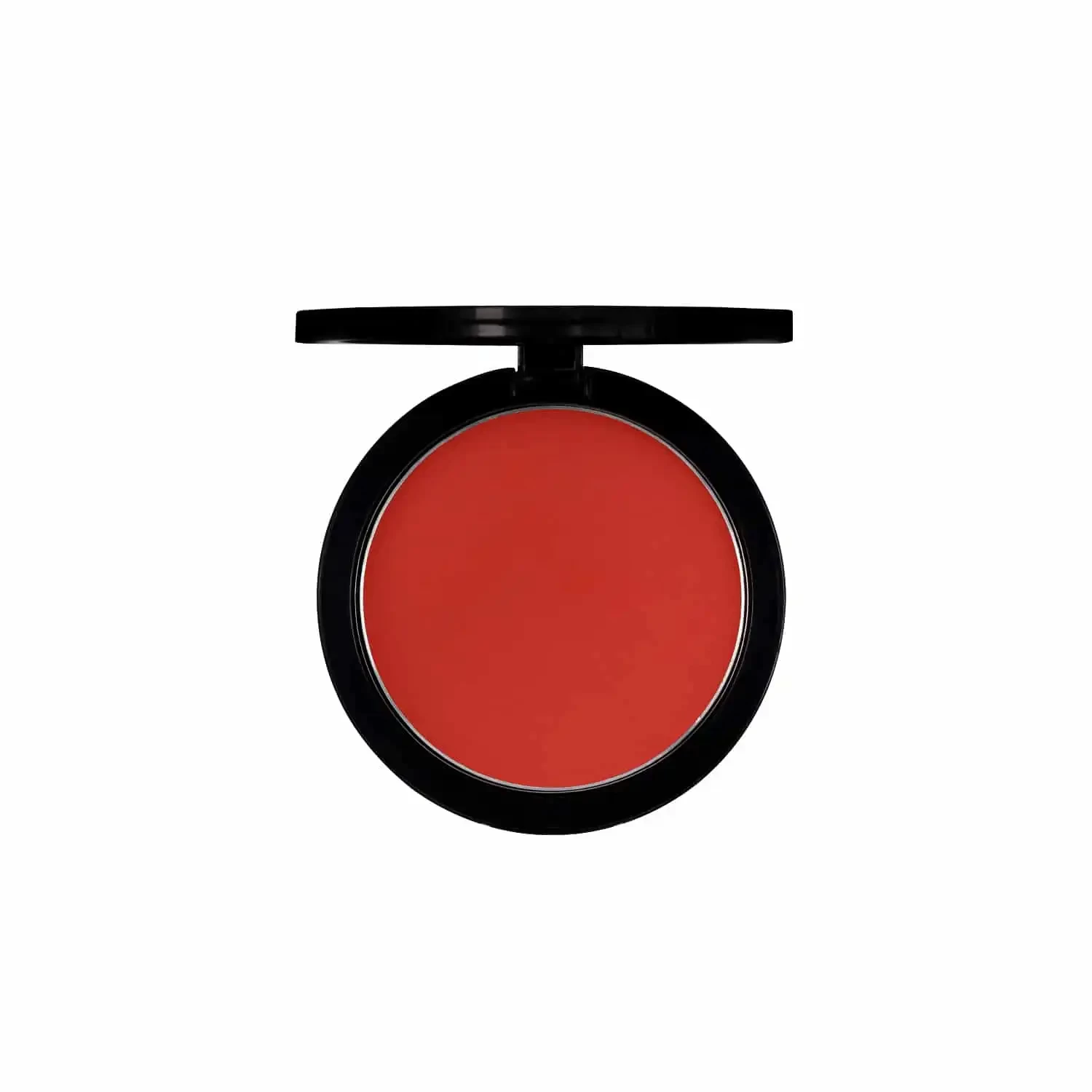 PAC Studio Powder Blusher - 13