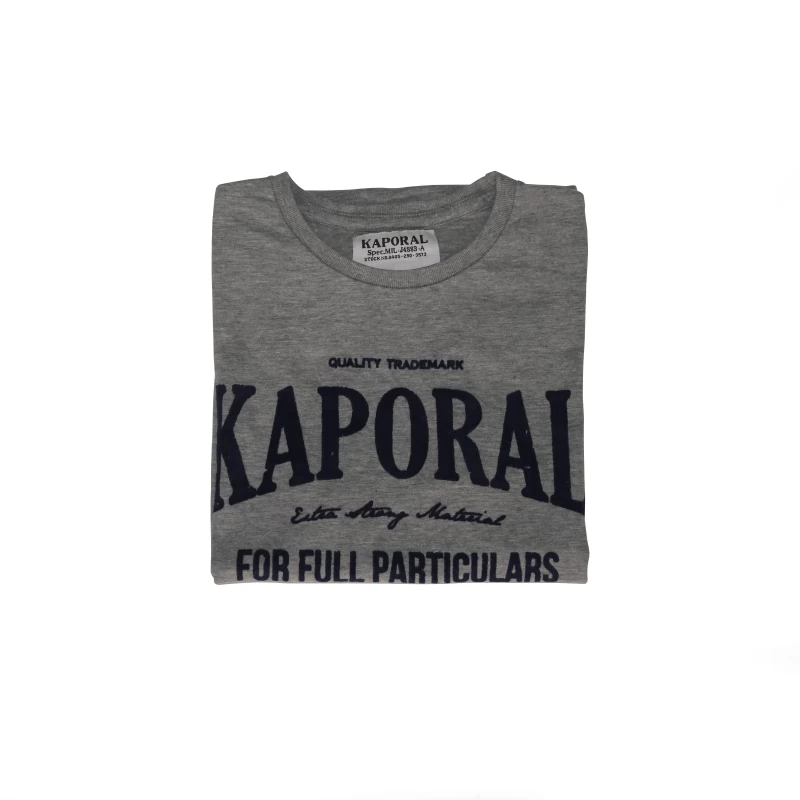 Men's Striped Round Neck Half Sleeve Cotton T Shirt Gray Color